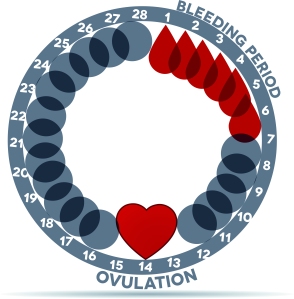 Menstrual cycle graphic. Avarage menstrual cycle days. Bleeding period and ovulation. Beautiful abstract design. Bleeding days- drop symbol; ovulation- heart.